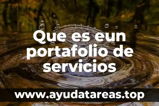 Que es eun portafolio de servicios