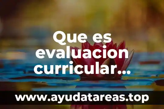 Que es evaluacion curricular externa