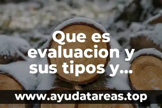 Que es evaluacion y sus tipos y como