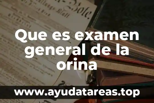 Que es un conductor general 4 Que es examen general de la orina