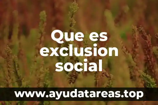 Lógica social que es 4 Que es exclusion social
