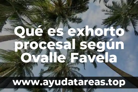 Que es el decho procesal civil segun castrillon y luna 7 Qué es exhorto procesal según Ovalle Favela