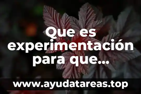 Qué es un juguete interactivo para niños 7 Que es experimentación para que entiendan los niños