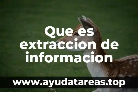 Que es extraccion de informacion