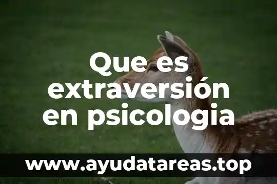 Qué es el amor romántico psicología 8 Que es extraversión en psicologia