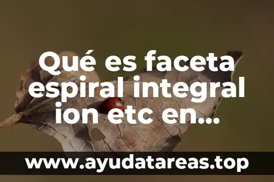 Qué es un objeto de power point 3 Qué es faceta espiral integral ion etc en power point