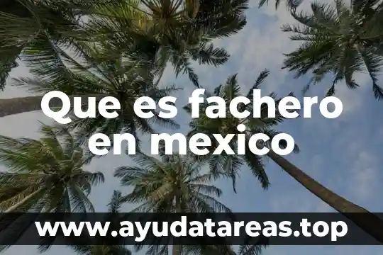 Que es la realidad laboral en mexico 5 Que es fachero en mexico