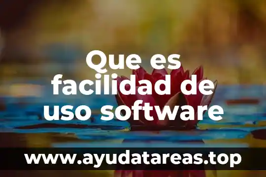 Que es facilidad de uso software