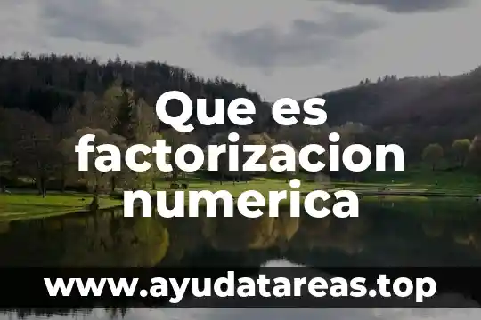 Que es significa la correspondencia entre representacion numerica 7 Que es factorizacion numerica