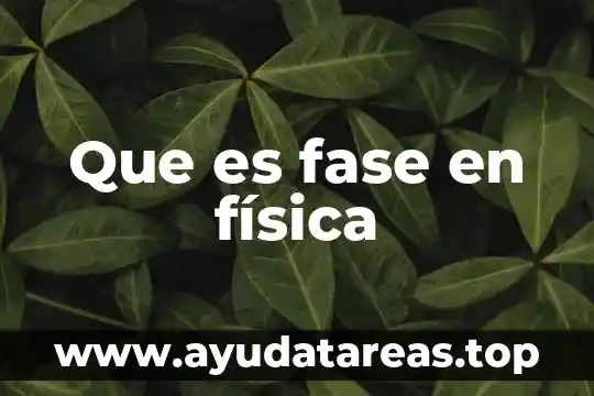 Que es fase en física