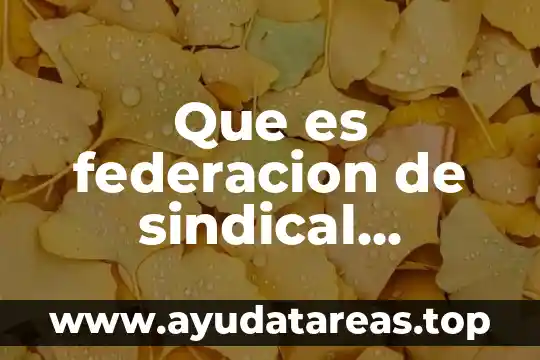 Que es federacion de sindical definicion
