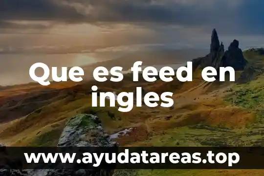 Que es feed en ingles