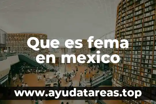 Qué es significa la palabra biodiversidad 4 Que es fema en mexico