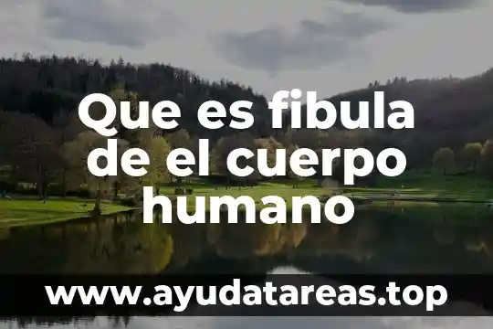 Que es fibula de el cuerpo humano