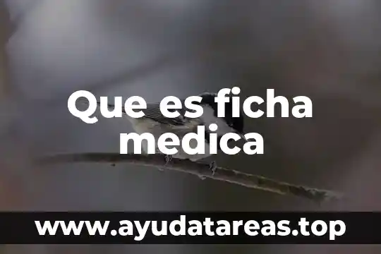 Que es un signo definicion medica 4 Que es ficha medica