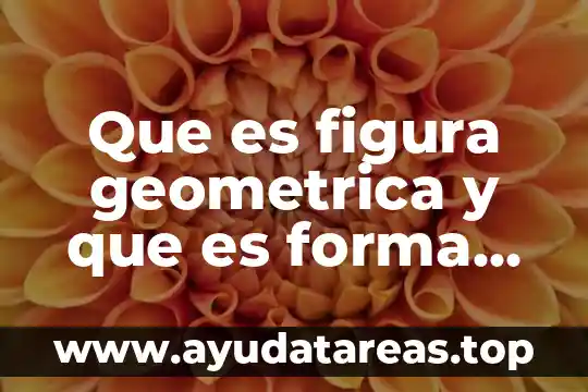 Figura para anunciar que es baño de hombre 7 Que es figura geometrica y que es forma geometrica
