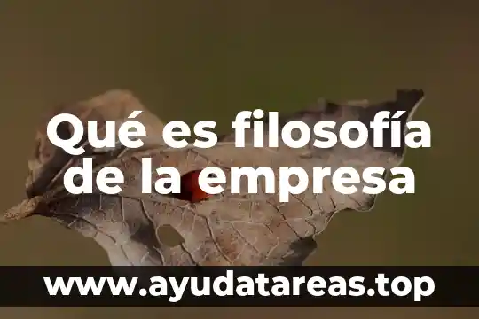 Qué es filosofía de la empresa