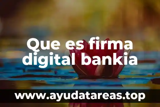 Que es la firma electronica de una empresa 8 Que es firma digital bankia