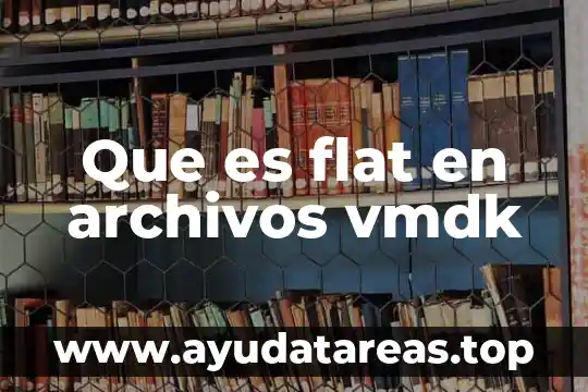 Que es flat en archivos vmdk