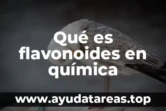 Qué es flavonoides en química