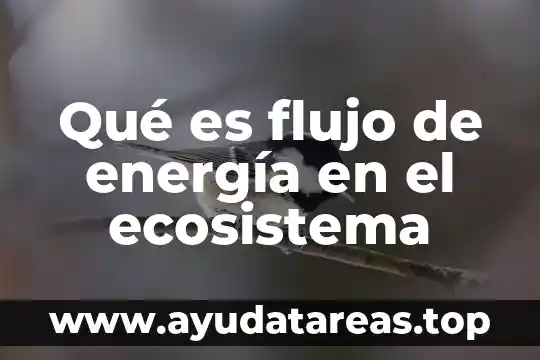Que es el ecosistema marino yahoo 3 Qué es flujo de energía en el ecosistema