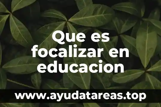 Que es focalizar en educacion
