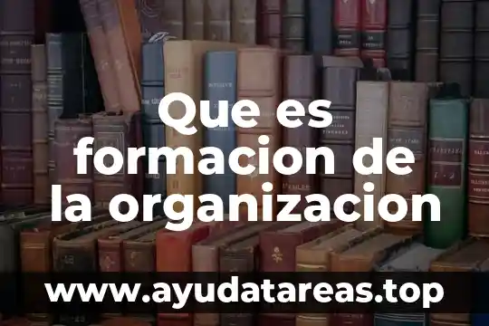 Qué es un nombre químico 5 Que es formacion de la organizacion