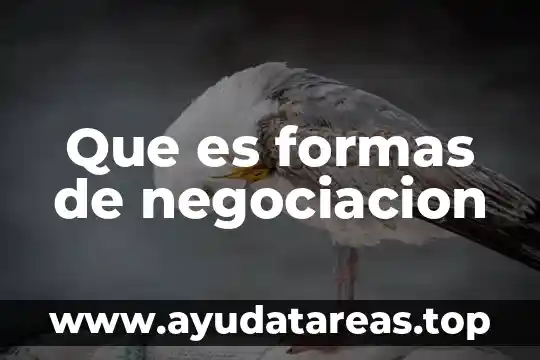 Que es lo que significa xochimilco y su historio 3 Que es formas de negociacion