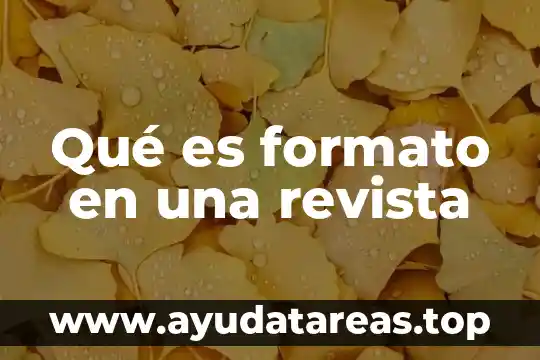 Que es el formato de texto enriquecido 7 Qué es formato en una revista