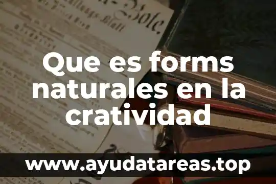 Que es la explotación excesiva de los recursos naturales 8 Que es forms naturales en la cratividad