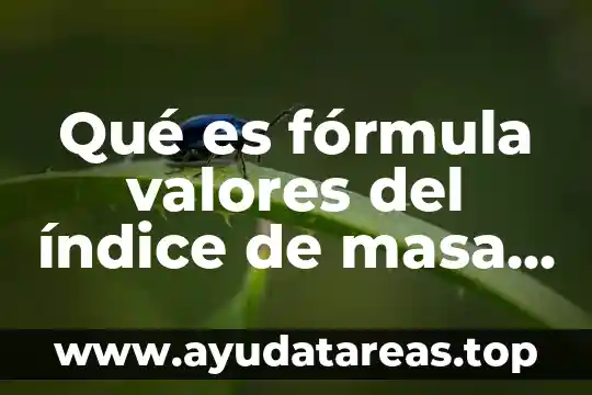 Qué es fórmula valores del índice de masa muscular
