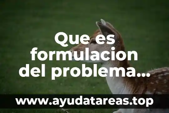 Que es formulacion del problema en estudio dell mercado