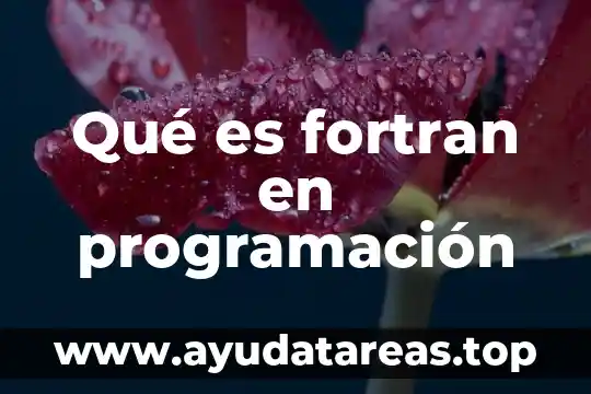Qué es fortran en programación