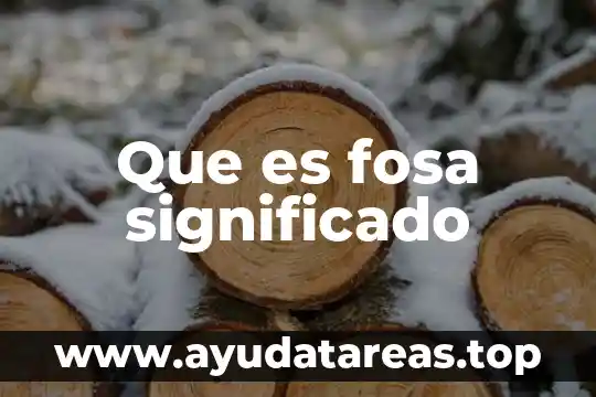 Que es la fosa comun en bolivia 5 Que es fosa significado