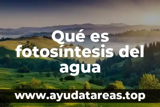 Que es agua destilada steren 5 Qu茅 es fotos铆ntesis del agua