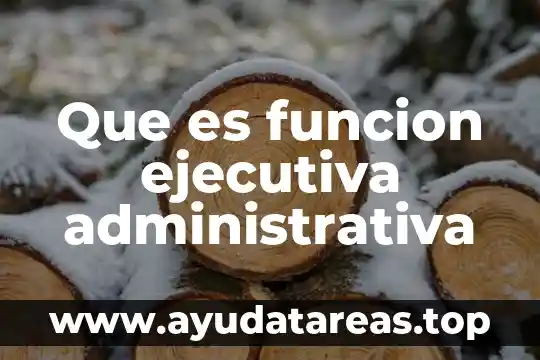 Que es la descentralización politica administrativa 7 Que es funcion ejecutiva administrativa