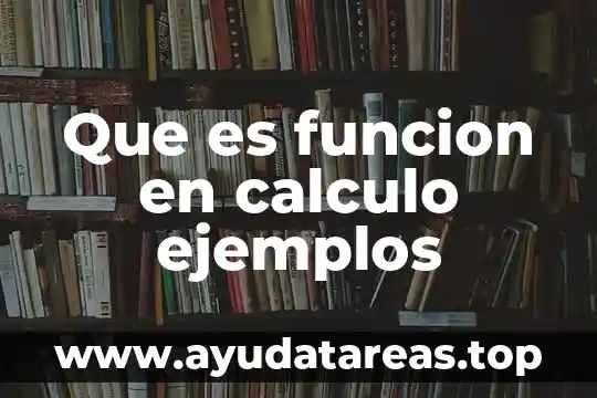 Que es la etiqueta html y su función 5 Que es funcion en calculo ejemplos