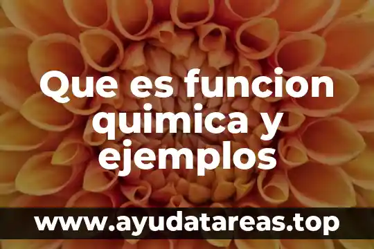 Que es funcion quimica y ejemplos