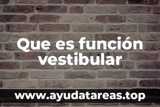 Que es función vestibular