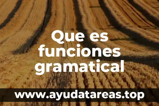 Que es el texto gramatical 5 Que es funciones gramatical