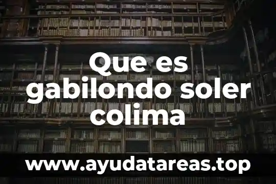 Que es gabilondo soler colima