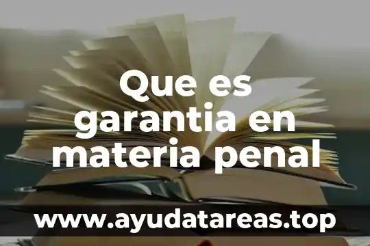 Que es garantia en materia penal