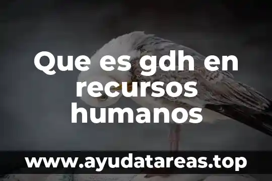 Que es gdh en recursos humanos