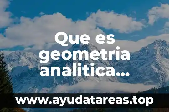 Que es la caracteristica morfológica 8 Que es geometria analitica caracteristica rincipal