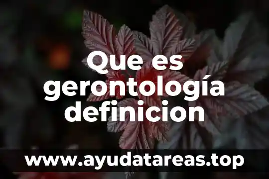 Qué es envejecimiento definición 4 Que es gerontología definicion