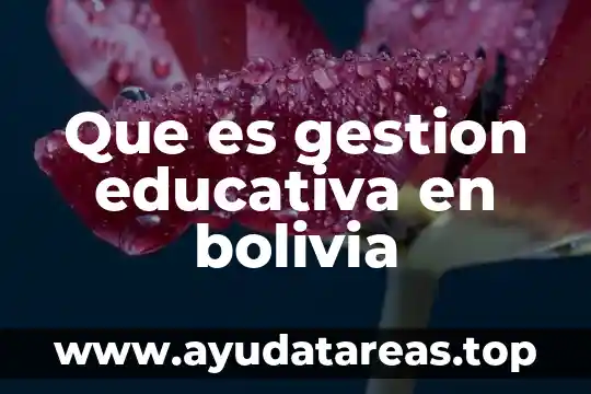 Que es gestion educativa en bolivia