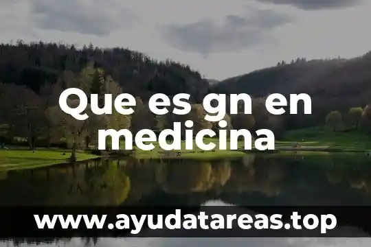 Que es gn en medicina