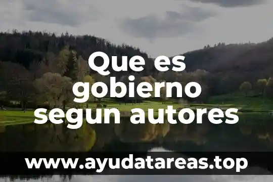 Que es gobierno segun autores