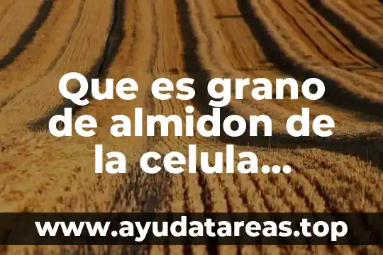 Que es grano de almidon de la celula vegetal