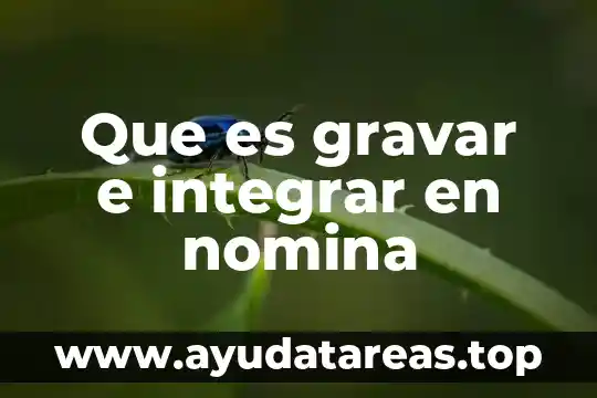 Que es gravar e integrar en nomina